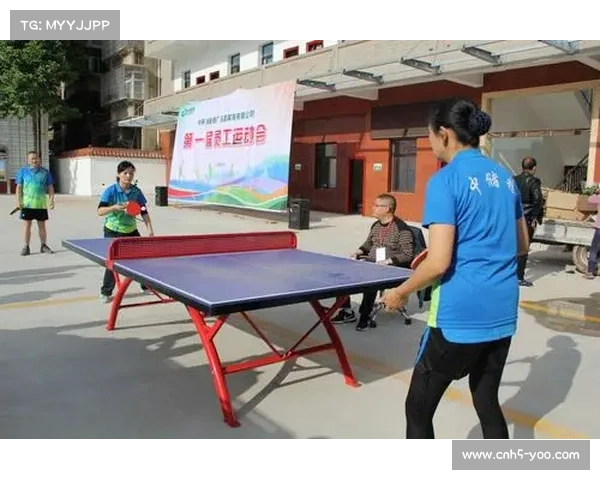 乒乓球运动营养学发展,个性化饮食方案助力选手恢复